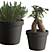 OutsideIn, flowerpots by Thomas Bernstrand