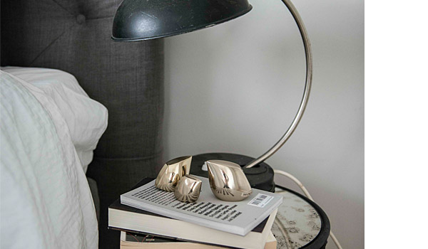 Aves birds by Co Derr / Architect Made